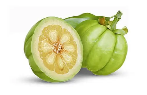 Garcinia Cambogia