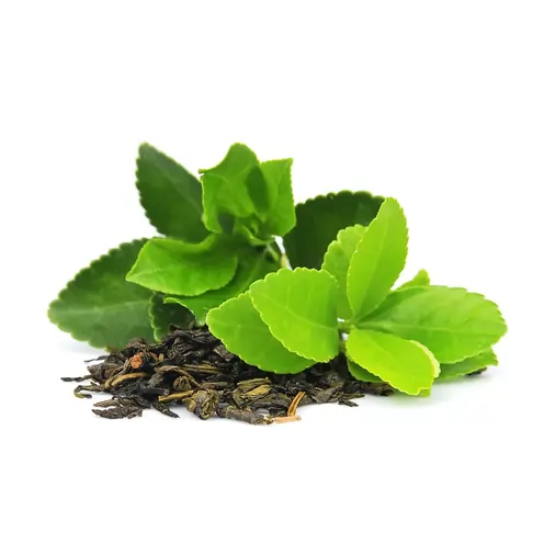 Green Tea Leaf Extract